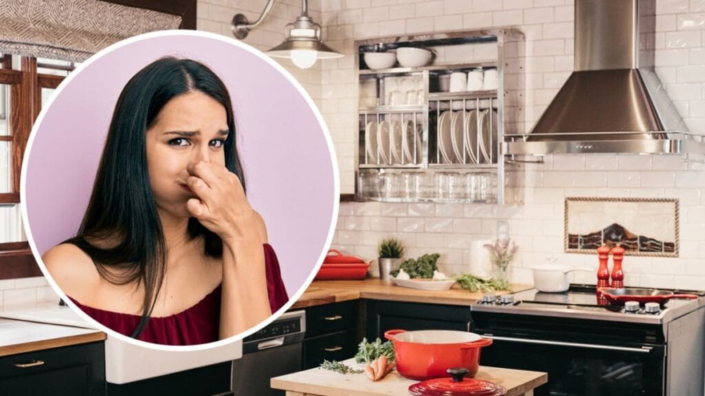 Wie man den Geruch in der Küche verbessert: Erfahrene Hausfrauen verraten ihre Geheimnisse Wie man den Geruch in der Küche verbessert: Erfahrene Hausfrauen verraten ihre Geheimnisse
