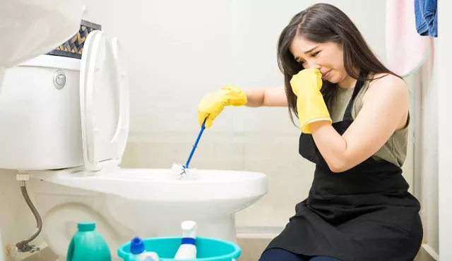 Wie man den Toilettengeruch verbessert: einfache Tricks verraten Wie man den Toilettengeruch verbessert: einfache Tricks verraten